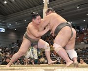 NishikifujiKijuin