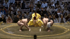 Ryuden's Fighting Style 2