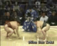 Senshuyama's Fighting Style