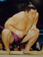 Tomonohana (c. 1993)