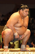 Surugatsukasa prepares for his upcoming match (c. 2009)