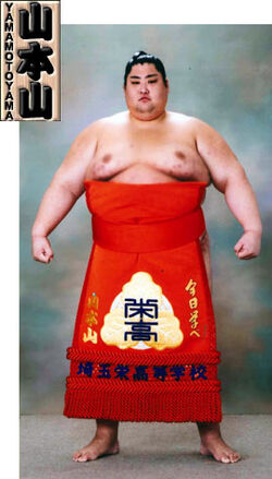 Sumo Wrestling, Yamamotoyama Ryūta a.k.a. Yama. He is the h…