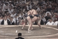 Dewanohana's Fighting Style