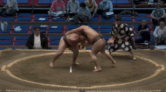 Hananoumi2's Fighting Style