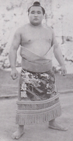 Iwakaze with his kesho-mawashi