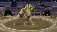 Mineyaiba's Fighting Style
