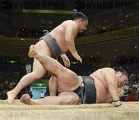 Kotoeko defeats Wakakoyu to ensure promotion to Juryo (c. 2014)