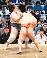 Mitoryu defeats Aoiyama to win his 2nd Juryo Yusho (c. 2024)