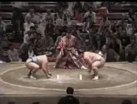 Ryuo's Fighting Style