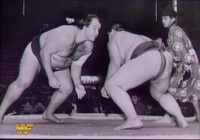 Kototenta wrestles a match in maezumo (c. 1985)