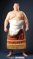 Ichinojo Takashi | Sumowrestling Wiki | Fandom