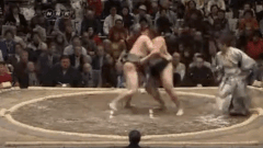 Shimotori's Fighting Style