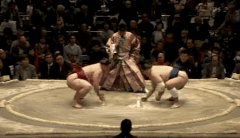 Tamanoshima's Fighting Style