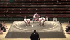 Sakaefuji's Fighting Style