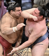 TakayasuKinbozan