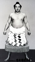 Tochinoumi Teruyoshi - (Retrieved from the Nihon Sumo Kyokai)