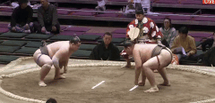 Dairinzan's Fighting Style