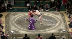 Rikishin's Fighting Style