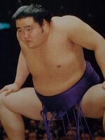 Tomoefuji (c. 1993)