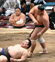 Kaizen loses the Makushita Yusho match (c. 2023)