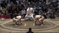 Meisei's Fighting Style 2