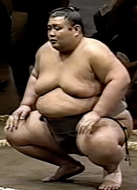 Yanagi-main