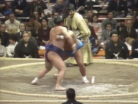 Fujihikari's Fighting Style