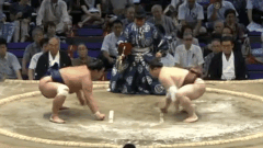 Myogiryu Fighting Style