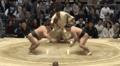 Sotairyu's Fighting Style