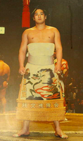 Tamakirin during the juryo dohyo-iri