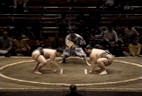 Yanagi's Fighting Style