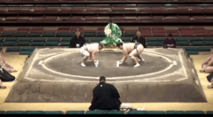 Arikawa's Fighting Style