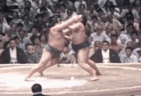 Fujizakura's Fighting Style