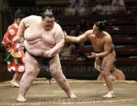 Orora battles the much smaller Shunjin (c. 2015)