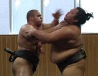 Osunaarashi gets invited to train at Nishikido stable (c. 2011)