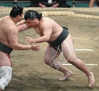 Rinko defeats Shogun (c. 2022)