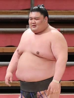 Asabenkei10.jpg (182 KB) Asabenkei after ensuring re-promotion to Juryo (c. 2020)