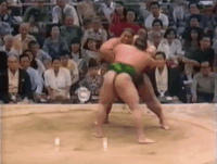 Kotofuji's Fighting Style