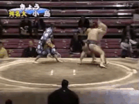 Masumeidai's Fighting Style