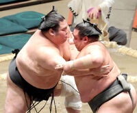 Oshoryu battles Daiamami in Juryo (c. 2025)