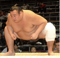 Towanoyama falls to the unsalaried ranks (c. 2007)