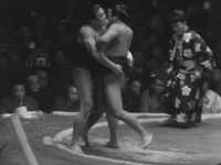 Aranami's Fighting Style