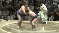 Kimikaze's Fighting Style