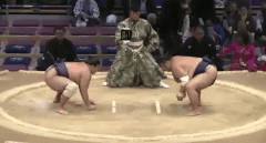 Kimurayama Fighting Style
