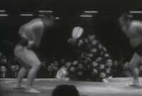 Kotogahama's Fighting Style