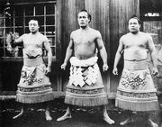 MusashiyamaDohyoIri