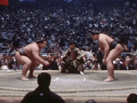 Nishikinada's Fighting Style 2