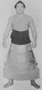 Sakuranishiki poses with his kesho-mawashi