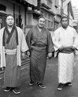 Ryuko with his stablemates Kaiketsu and Wakamisugi (c. 1974)
