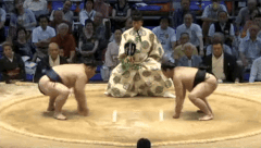 Tochihiryu's Fighting Style 2